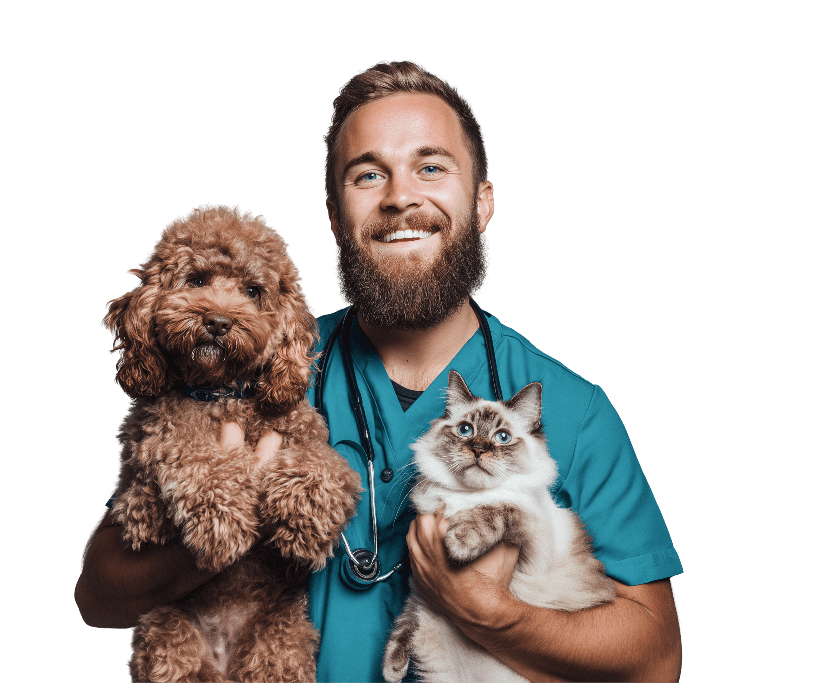 Vet holding a dog and cat